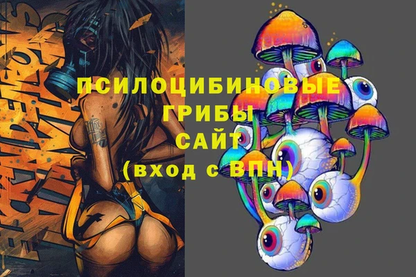 бошки Богородицк